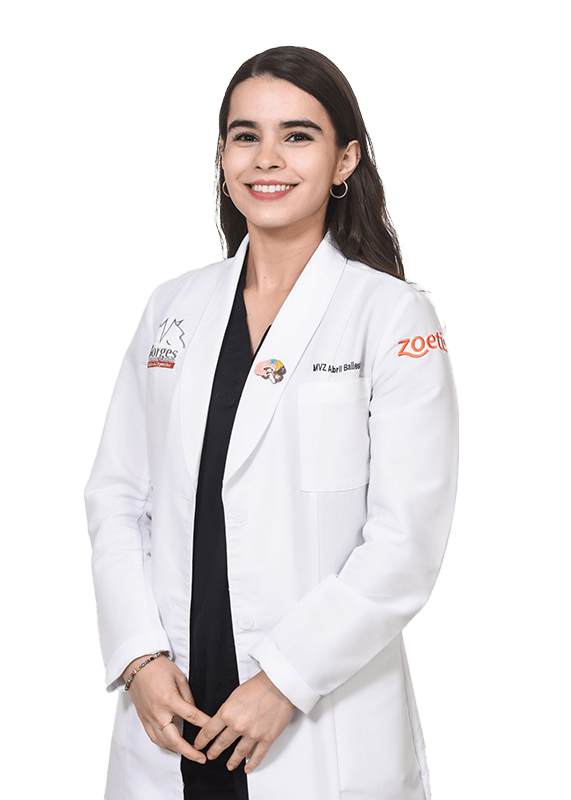 HOSPITAL VETERINARIO BORGES