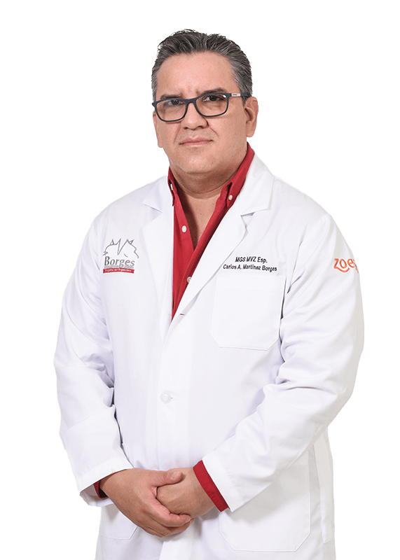 HOSPITAL VETERINARIO BORGES