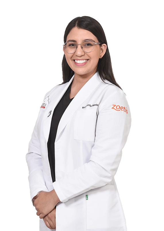 HOSPITAL VETERINARIO BORGES