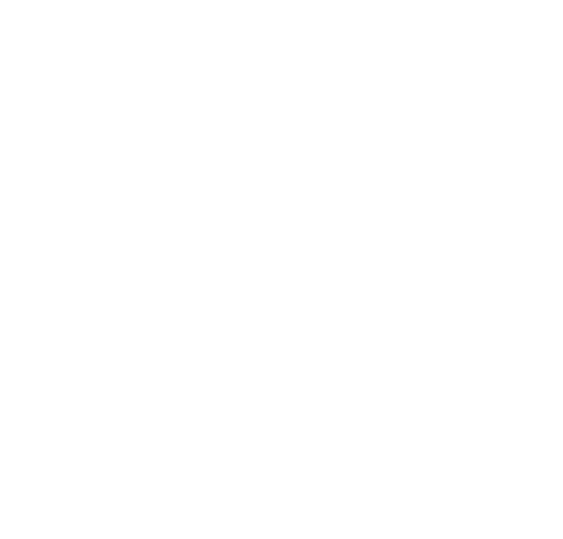 logo pit ginger beer