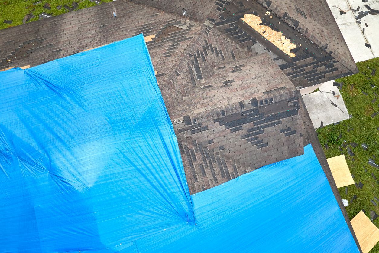 Blue tarps covering part of a dark shingled roof near trees and a driveway