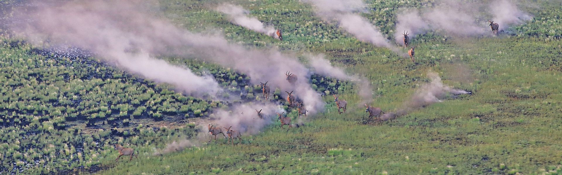 An aerial view of a field with smoke coming out of it.