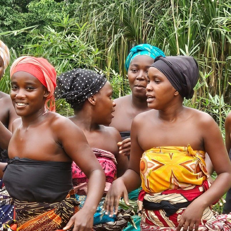 Travel to Gabon with Africa DMC's. This Central African treasure is one of the continent’s best-kept secrets—where lush rainforests, coastal lagoons, and savanna landscapes come together in spectacular harmony. From the wildlife-rich Loango National Park to the dense jungles of Ivindo and the cultural rhythms of Libreville, Gabon is a destination waiting to be discovered. Let our trusted local partner, Gabon Highlights Tourism & Co., guide your journey through this unforgettable natural paradise.