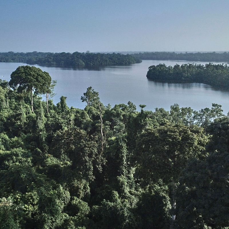 Travel to Gabon with Africa DMC's. This Central African treasure is one of the continent’s best-kept secrets—where lush rainforests, coastal lagoons, and savanna landscapes come together in spectacular harmony. From the wildlife-rich Loango National Park to the dense jungles of Ivindo and the cultural rhythms of Libreville, Gabon is a destination waiting to be discovered. Let our trusted local partner, Gabon Highlights Tourism & Co., guide your journey through this unforgettable natural paradise.