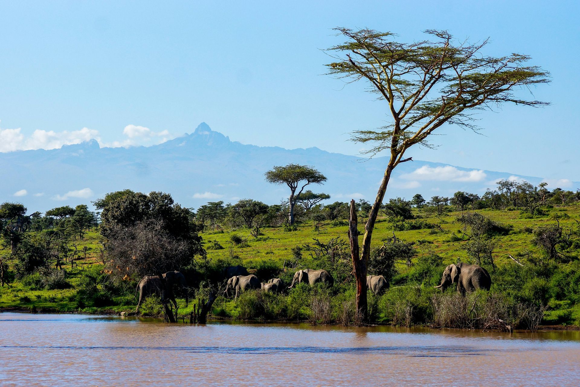 One of Africa’s must climb summits, Mount Kenya offers dramatic alpine scenery, jagged peaks, and glacier-carved valleys, creating a challenging and rewarding trekking experience in the heart of Kenya. Climbers can experience this iconic adventure with expert support through Africa DMC’s trusted partner, Inspiration Kilimanjaro.