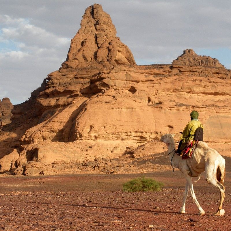 Libya offers timeless beauty — vast desert landscapes, remarkable ancient ruins, and centuries of rich heritage in one unforgettable destination.
Discover Libya with Africa DMC’s trusted network for your local tour operator and travel agent.
