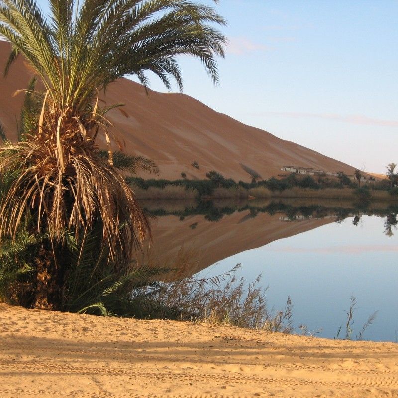 Travel to Libya with Africa DMC’s. Discover one of North Africa’s most fascinating hidden gems, where ancient civilizations, vast Saharan landscapes, and timeless heritage come together. Explore incredible destinations like Leptis Magna, one of the best-preserved Roman cities in the world, and the breathtaking dunes and rock formations of the Libyan Sahara.