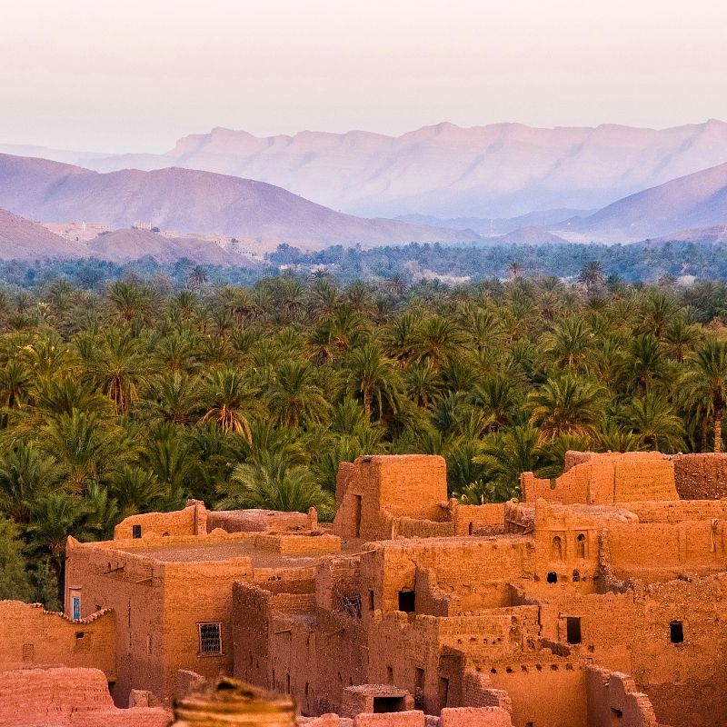 An aerial view of a desert village with palm trees and mountains in the background.
Morocco captivates with colorful souks, sweeping deserts, mountain landscapes, and coastal charm—all in one vibrant destination.
Travel with Africa DMC’s trusted network for your local tour operator and travel agent to explore Morocco’s magic.
