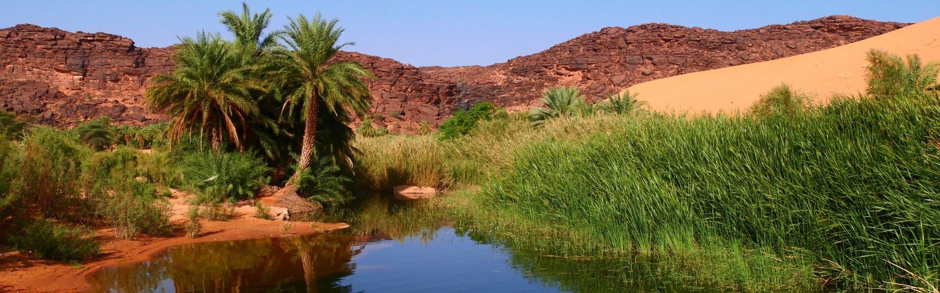 An oasis hidden in the Desert of Mauritania. Travel to Mauritania with Africa DMC´s member and on the ground expert DMC and Tour operator Détours Mauritanie, experts in designing tailor-made itineraries in Mauritania