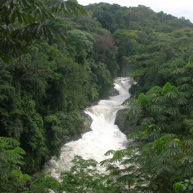 This breathtaking image showcases the raw beauty of Kwa Falls, nestled within the lush greenery of Cross River National Park in southeastern Nigeria. Surrounded by dense rainforest, this region is a haven for biodiversity and one of the few places in West Africa known for gorilla viewing. Towering trees, cascading waterfalls, and untouched trails make it a dream for nature lovers and adventure seekers. Discover Nigeria’s wild side with Connect DMC, your expert partner for authentic and tailor-made travel experiences. Africa DMC's, through its network of great locally based tour operators, organizes unforgettable journeys into Nigeria’s most pristine natural landscapes.