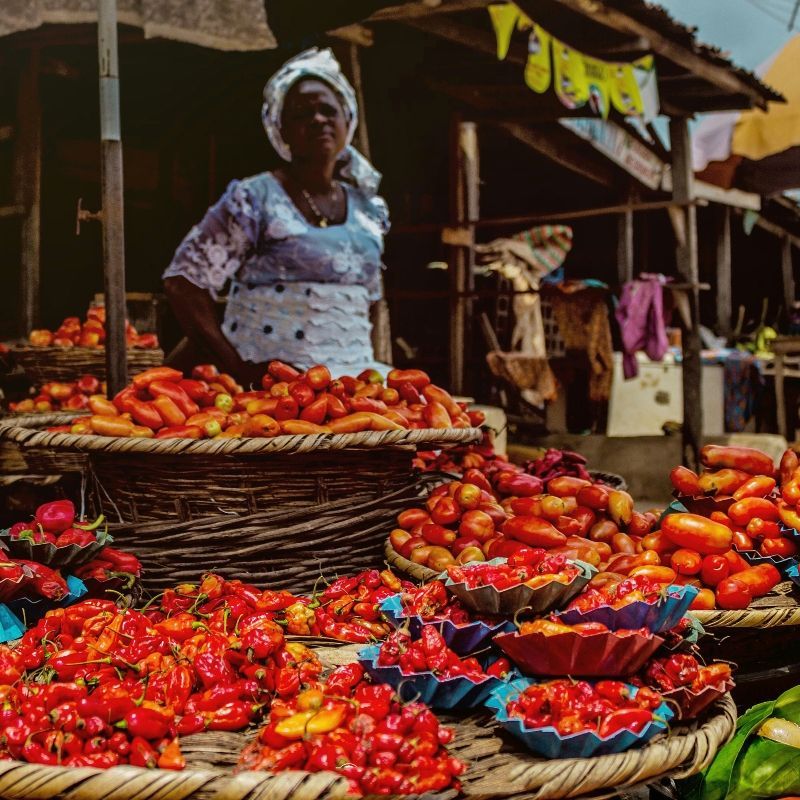 This vibrant image captures a woman seated in the bustling market of Abeokuta, Nigeria, surrounded by large open baskets filled with bright red peppers and ripe tomatoes. The rich colors and lively atmosphere reflect the heart of everyday life in southwestern Nigeria, where culture, flavor, and tradition come together. Markets like this offer travelers an authentic glimpse into local commerce and community. Africa DMC's, through its network of trusted locally based tour operators, organizes immersive travel experiences across Nigeria—connecting you with the people, places, and flavors that make this dynamic country so unforgettable.