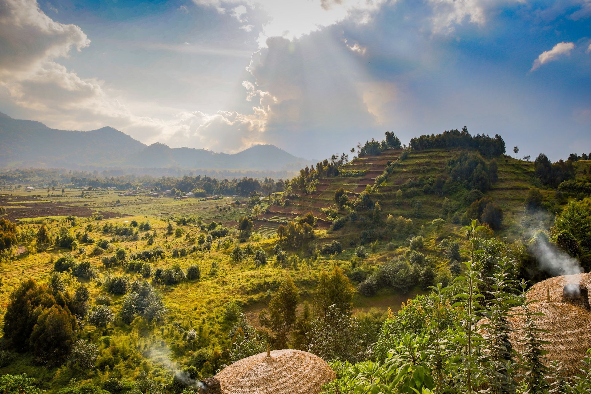 Travel to Rwanda with Africa DMCs. This vibrant and forward-looking nation is quickly emerging as one of Africa’s most compelling destinations. Known as the Land of a Thousand Hills, Rwanda offers a captivating mix of lush landscapes, rich biodiversity, and powerful cultural heritage. Visit the source of the Nile near Nyungwe Forest, trek through misty mountains in search of endangered mountain gorillas, and take in the beauty of Lake Kivu’s tranquil shores. As tourism continues to grow, Rwanda welcomes travelers with warmth, safety, and seamless infrastructure. Let our trusted local DMC partner guide you through the country’s natural wonders and moving history—Rwanda is a hidden gem ready to shine.