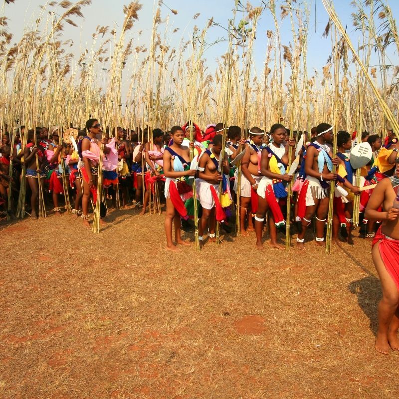Young girls in traditional dress ready.
Eswatini impresses with rolling hills, wildlife-rich reserves, lively traditions, and welcoming communities—all in one intimate destination.
Explore Eswatini with Africa DMC’s trusted network for your local tour operator and travel agent.