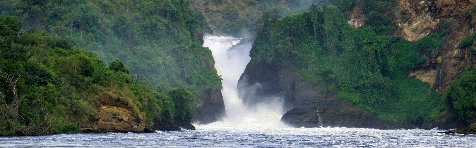 In the lush rainforests of Uganda, unforgettable encounters with mountain gorillas, chimpanzees, and other primates reveal the extraordinary richness of Africa’s wildlife. From gorilla trekking in Bwindi Impenetrable Forest to chimpanzee tracking in Kibale National Park, Uganda offers exceptional wildlife adventures and breathtaking natural beauty. Discover the wonders of Uganda with The Shuttle Hospitality and Tours, our trusted local DMC and destination expert within the Africa DMC’s network.