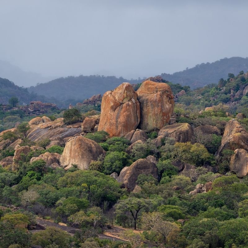 A large rock formation in the middle of a forest with mountains in the background.