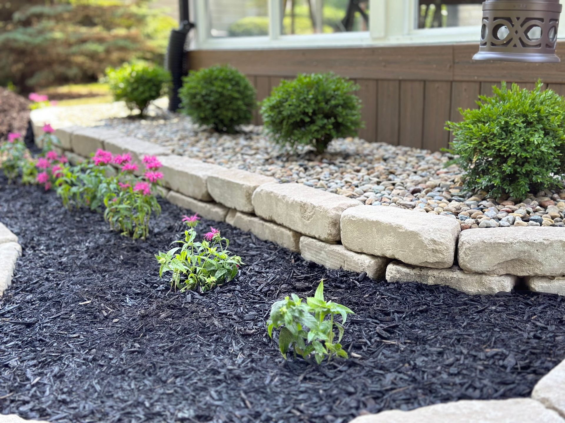A raised garden bed with stone walls, black mulch, small green bushes, and pink flowers in front of a house.