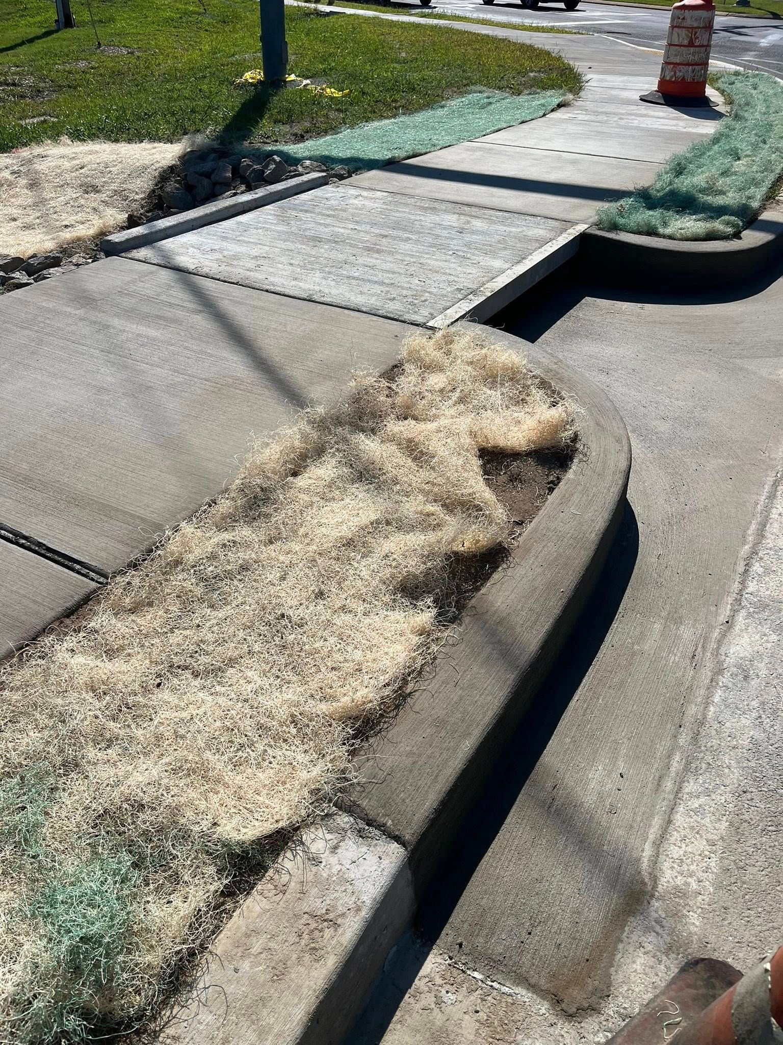 A sidewalk with a curb ramp covered in dried straw, showing a construction area with a safety cone in a suburban setting.