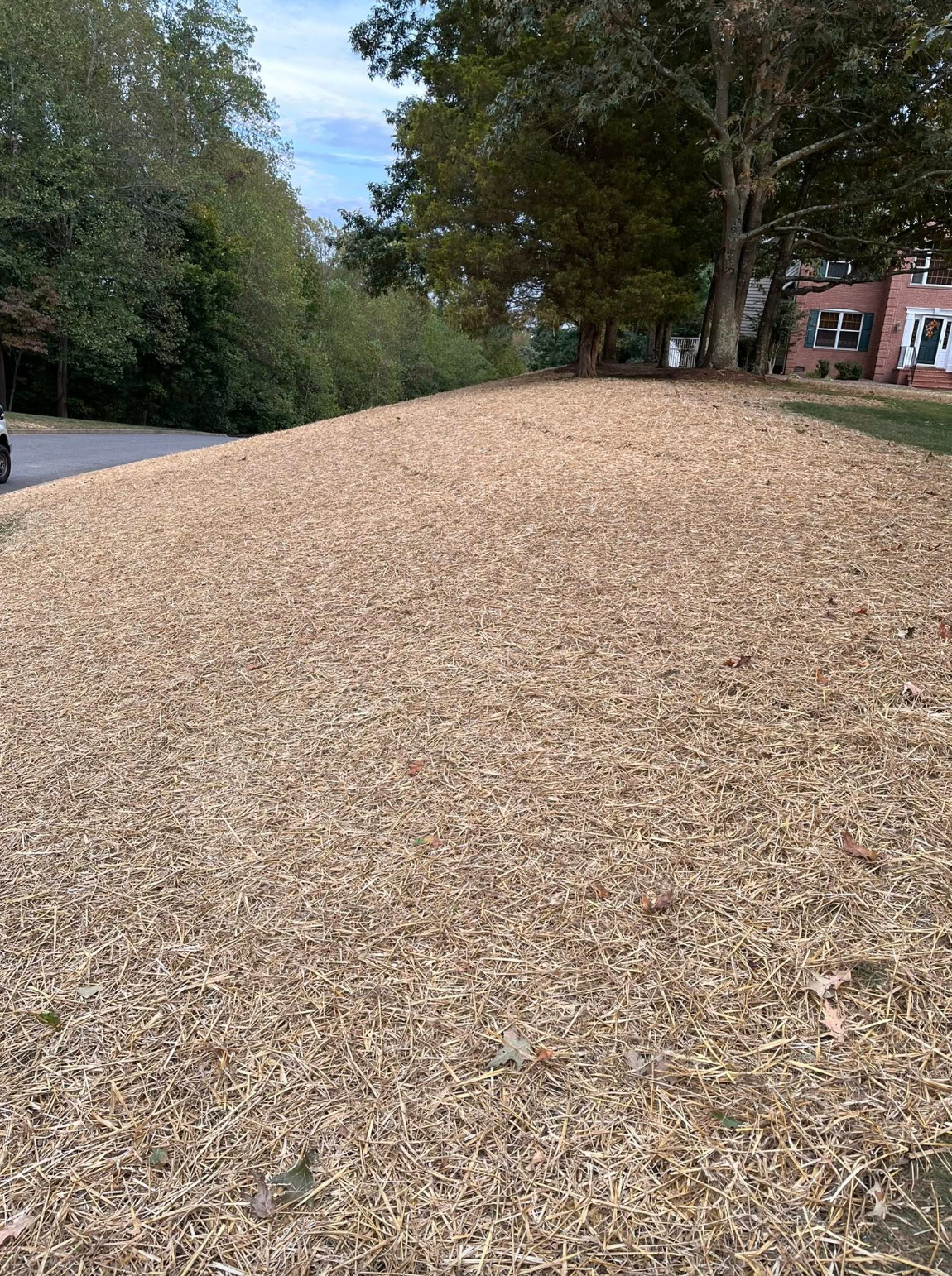 A steep hill covered in wood chips with trees and a house in the background.