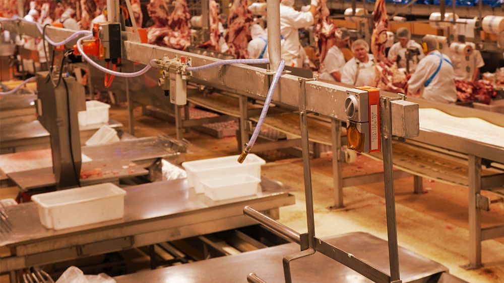 Power quality monitoring at a red meat processing facility following a major voltage sag and product