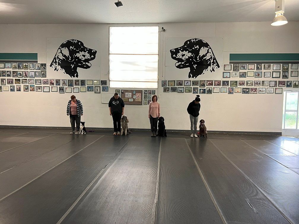 A group of people are standing in a room with dogs.
