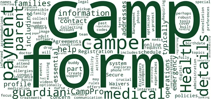 Word art graphic based on camp forms and the information they collect.