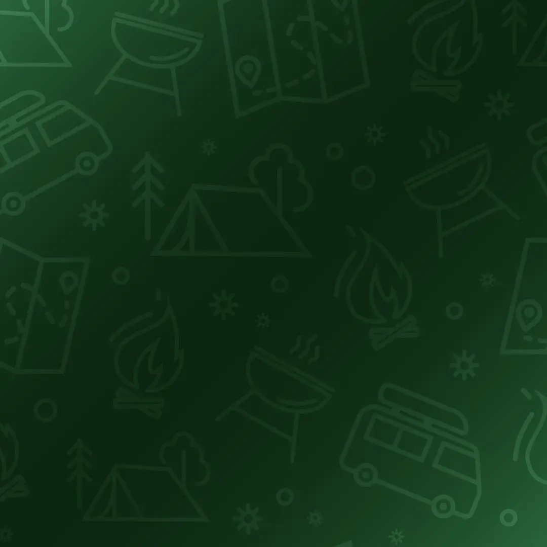 iCampPro icons background