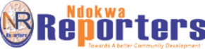 An orange and blue logo for ndokwa reporters