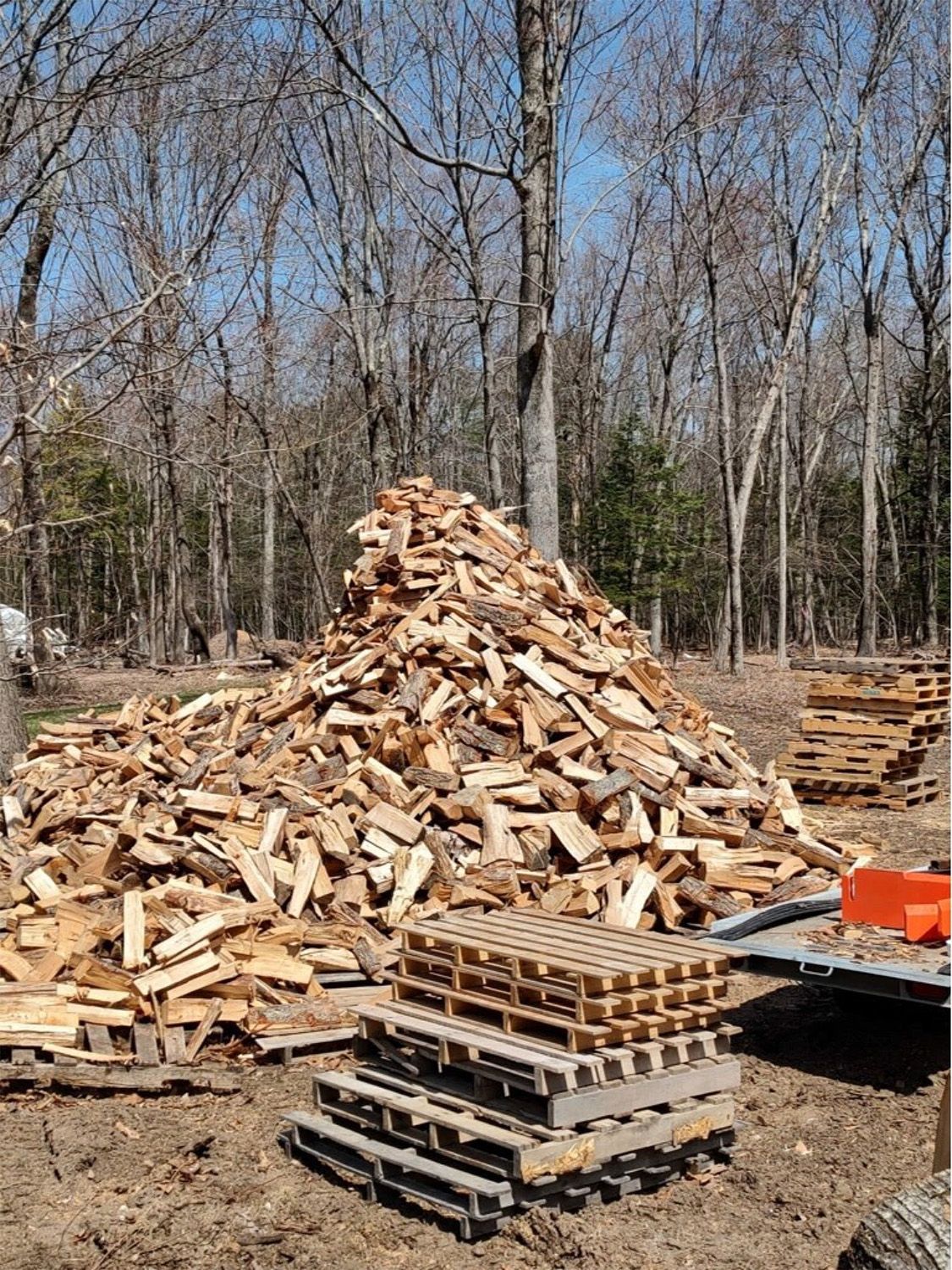 Jim's Tree Service 10