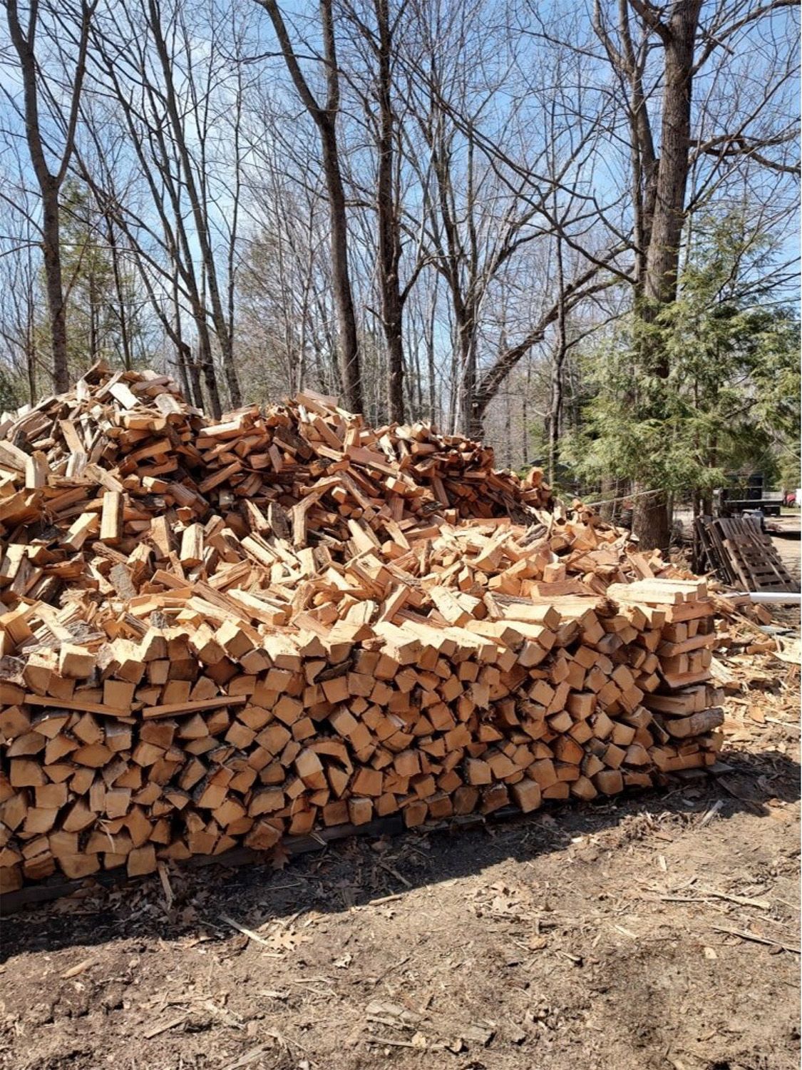 Firewood 1