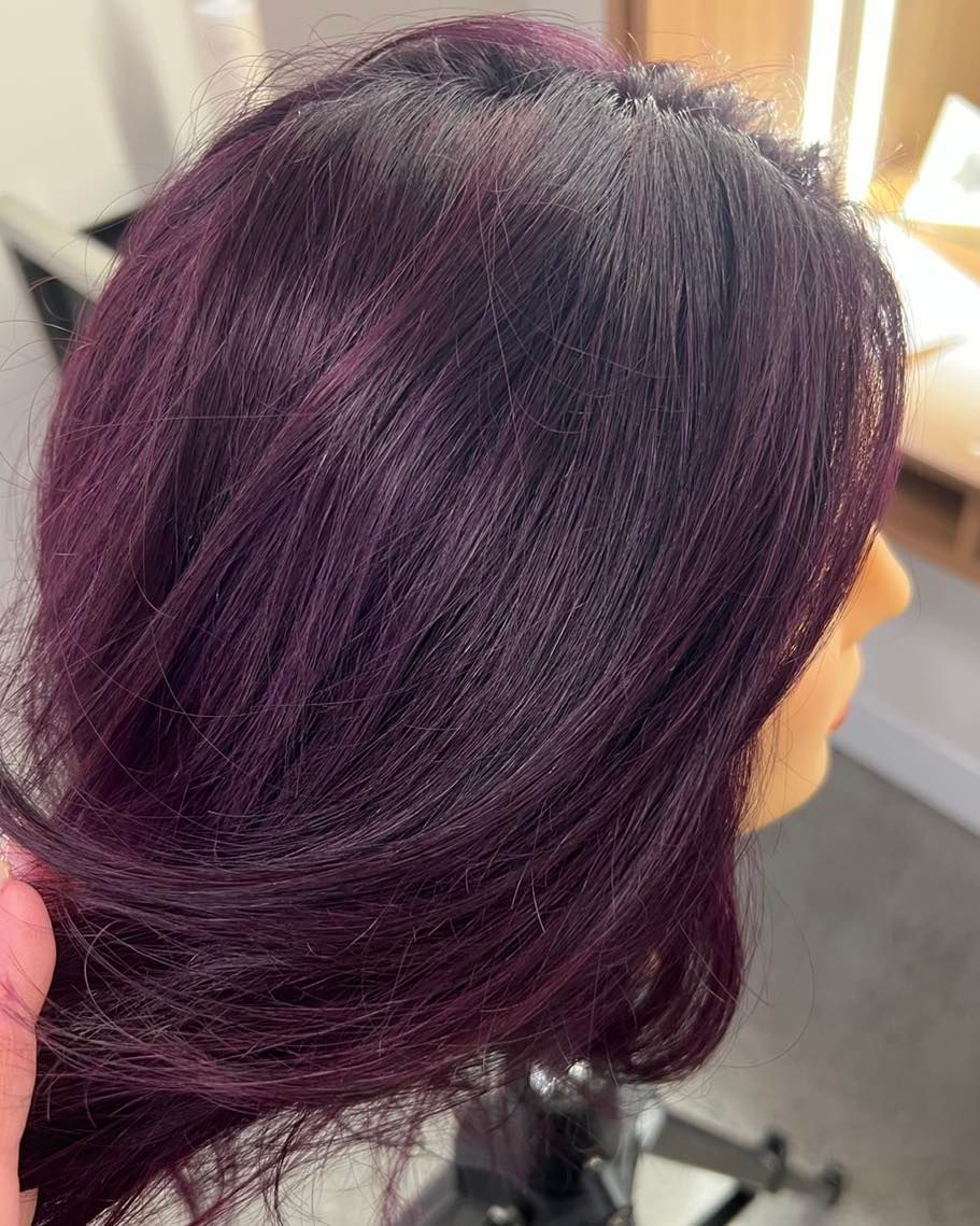 A Close up Of a Person 's Head with Purple Hair — Ammo Hair and Beauty In Maclean, NSW