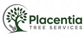 Placentia Tree Service logo with a green tree icon, gray accent, and clean professional branding.