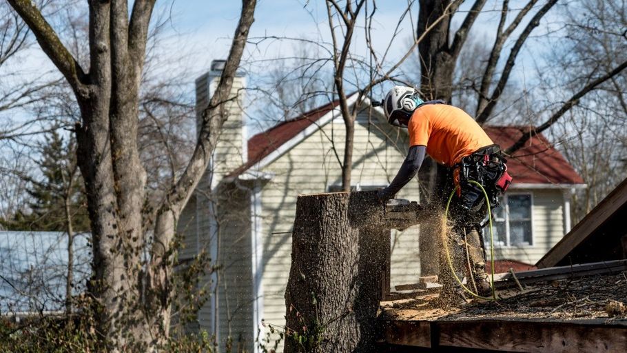 Arborist in orange shirt, helmet, and safety harness cutting tree branches. House in the background.