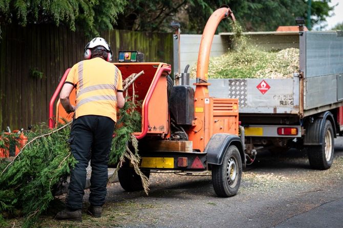 Worker feeding a tree branch into a wood chipper; truck bed filling with chipped debris.