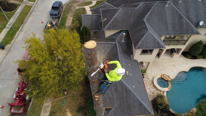A tree service worker cuts a tree on a roof with a chainsaw near a pool and luxury home.