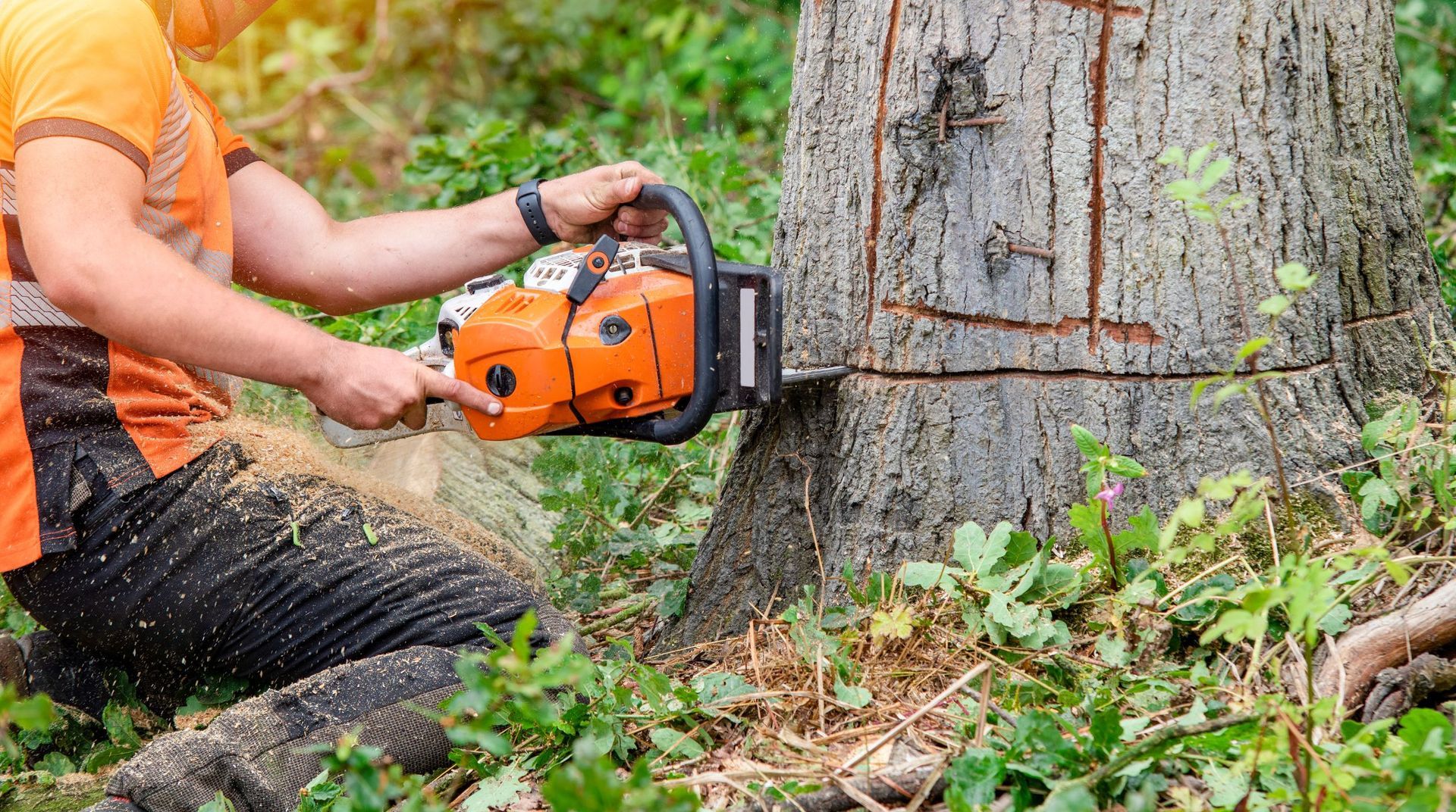 Worker using a chainsaw to cut through the base of a tree trunk during a tree service