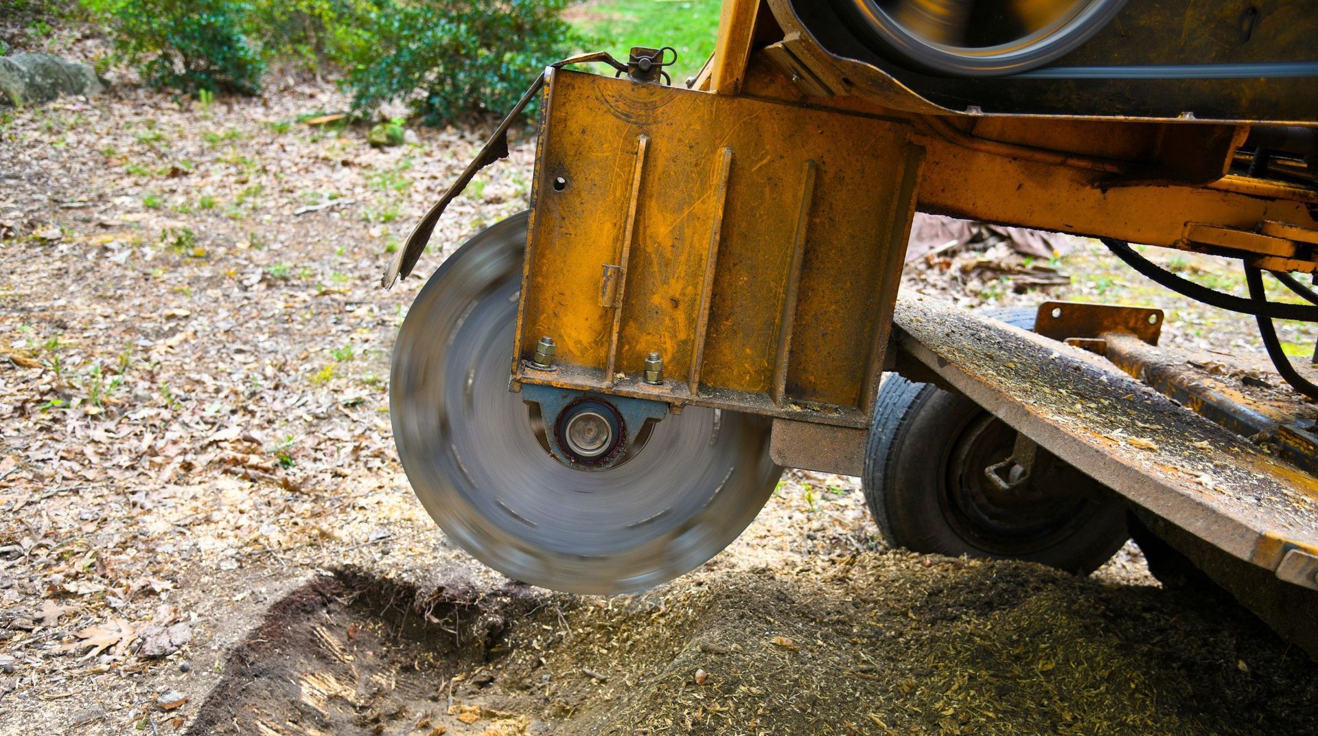 Close-up of a stump grinding blade cutting into wood chips and soil during a tree service