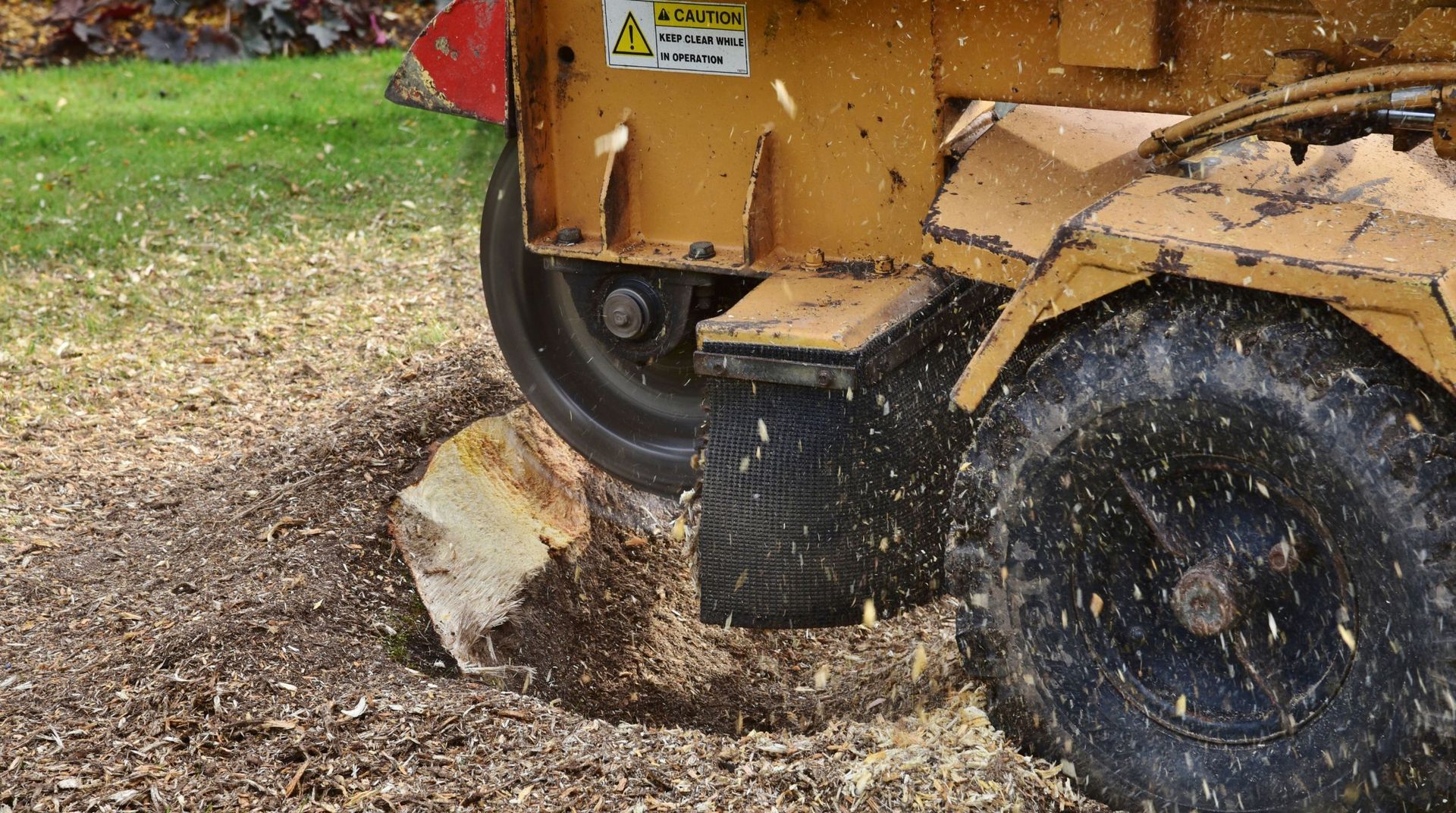 Stump grinding machine removing a tree stump and spreading fresh wood chips during a tree service