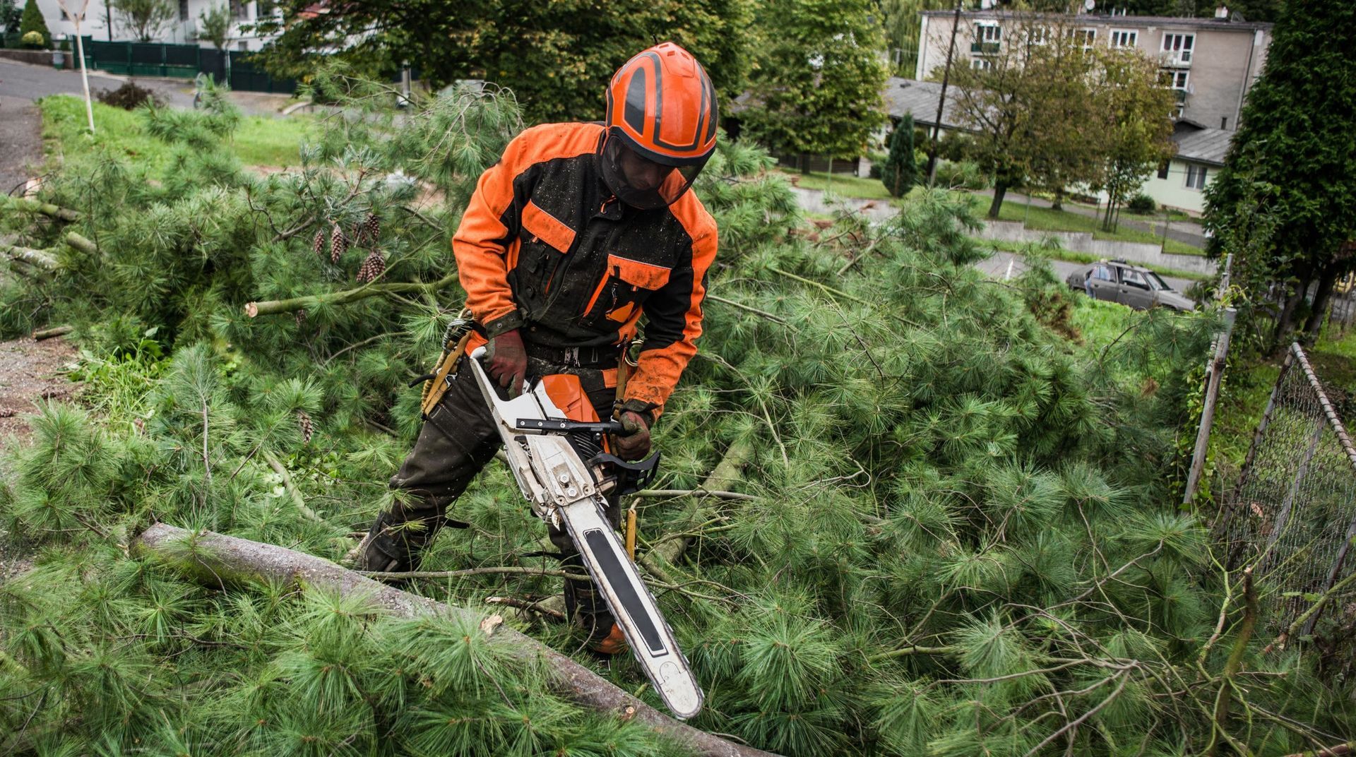 Tree worker using a chainsaw to cut through dense branches and fallen limbs during a tree service