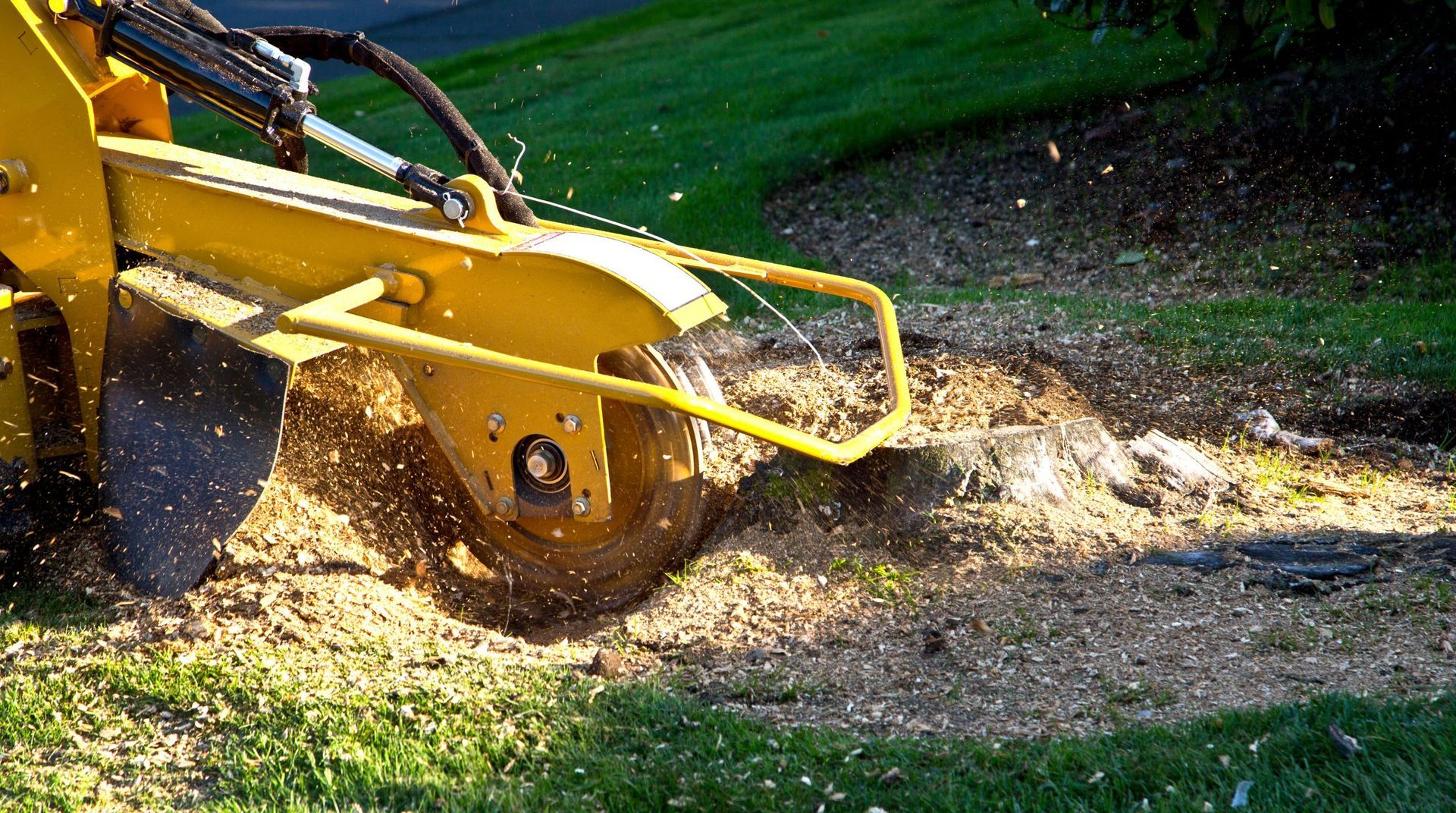 Yellow stump grinder shredding a tree stump across a grassy yard during a tree service