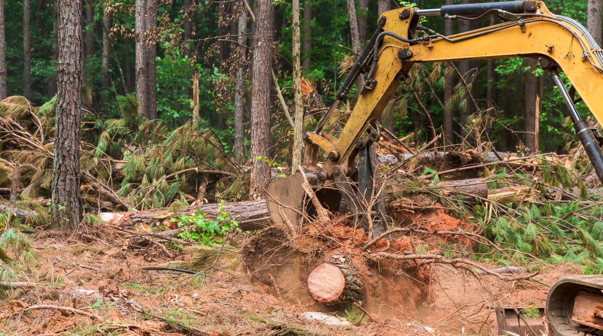 Excavator lifting and clearing large tree sections from a wooded area during a tree service
