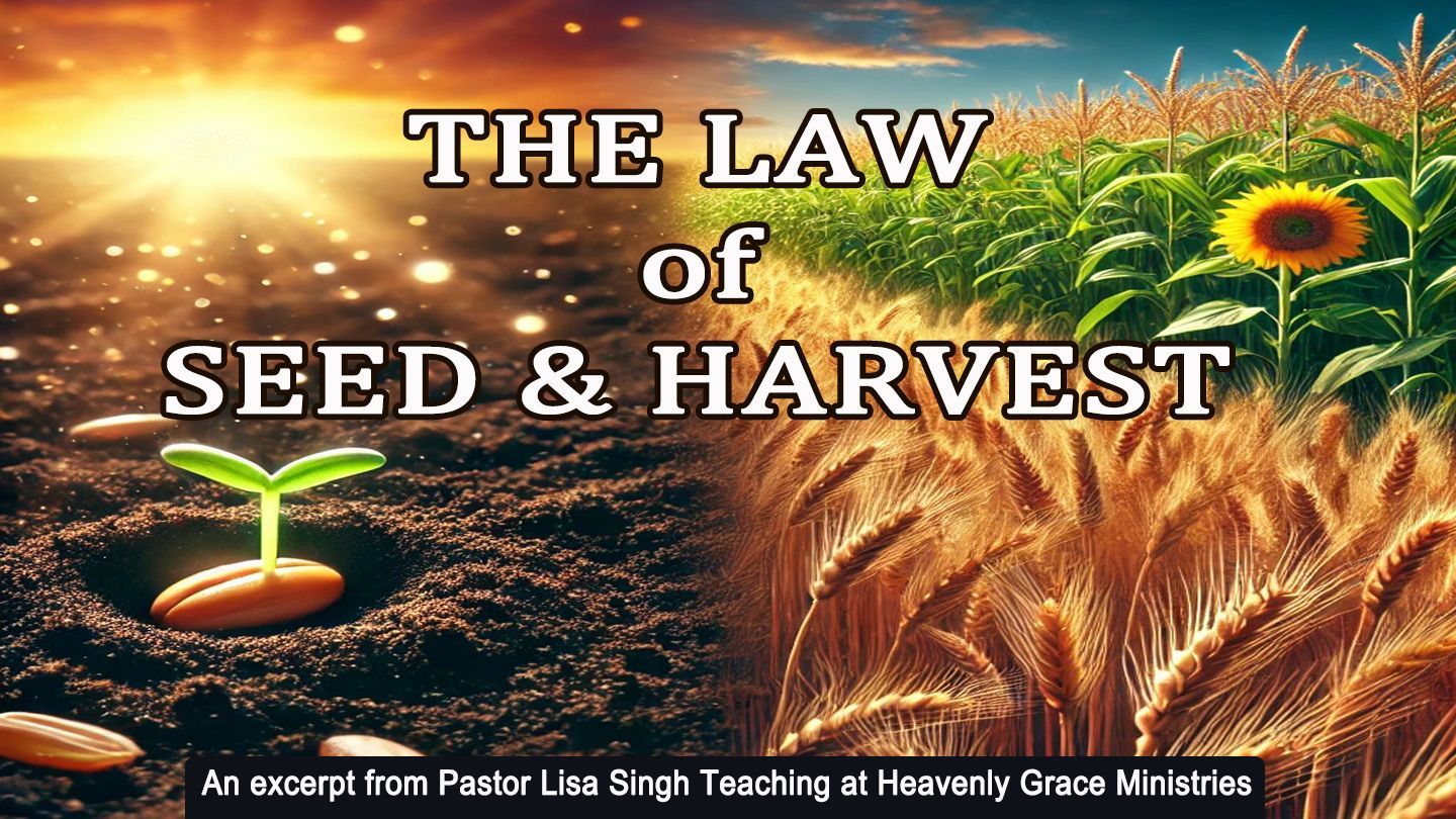 Split image: planting seed vs. harvested crops with text 