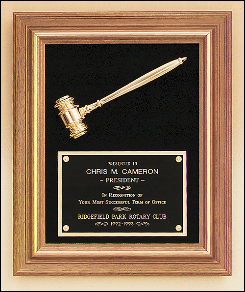 A framed plaque with a judge 's gavel and the name chris m cameron on it