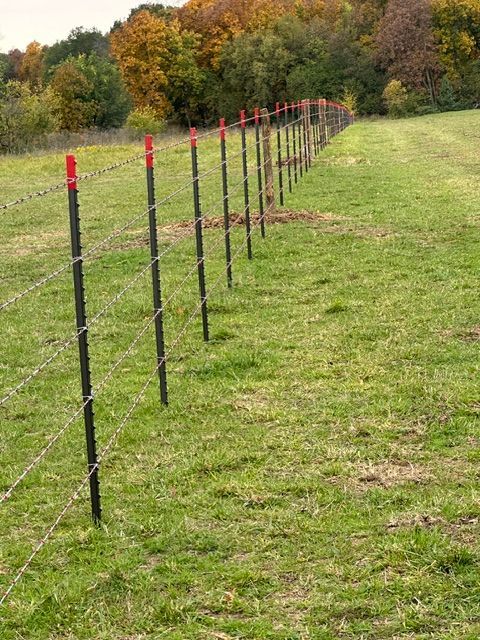 Fence posts with red caps line a grassy field beside autumn trees.