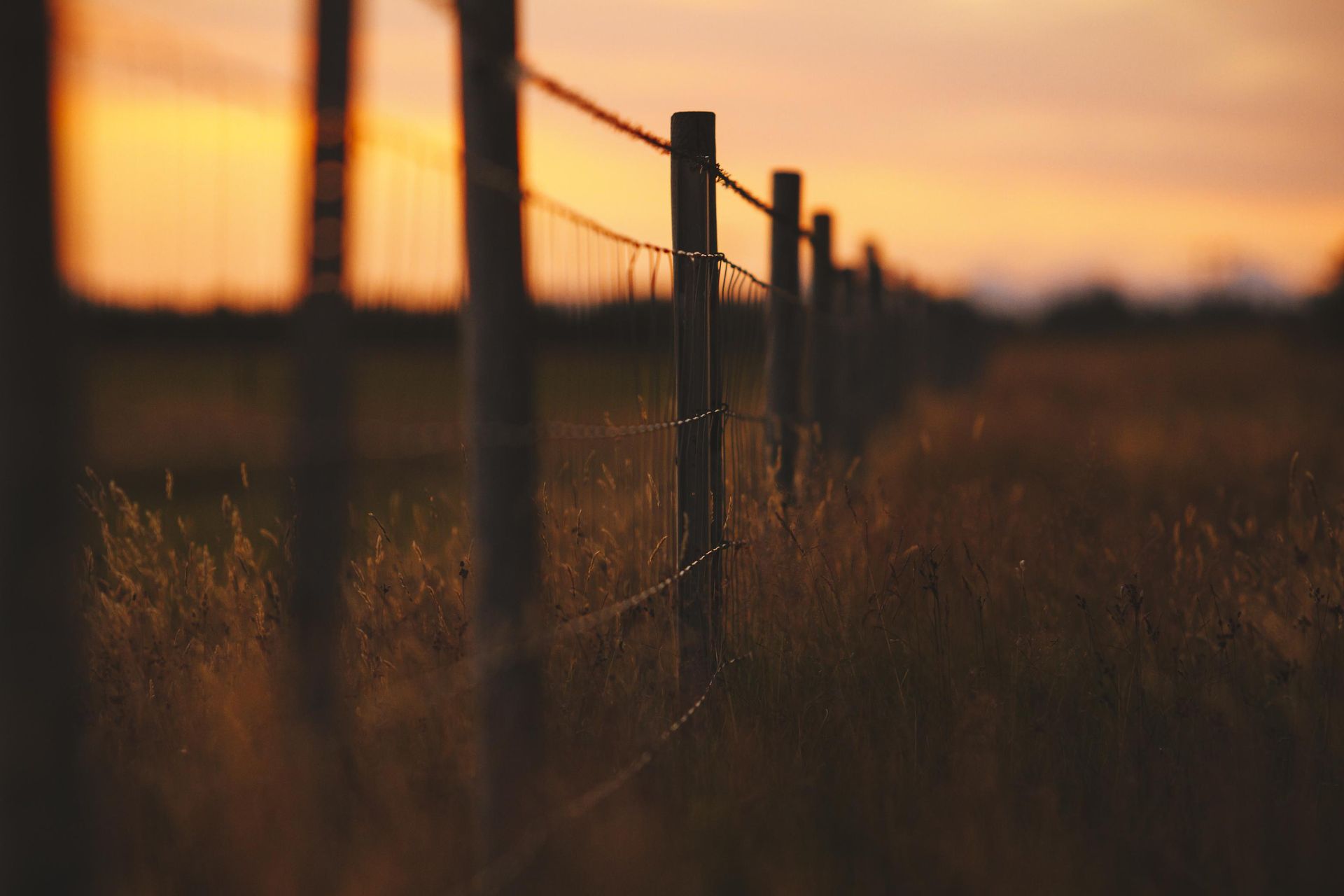 Sunset over a grassy field with a wire fence in silhouette