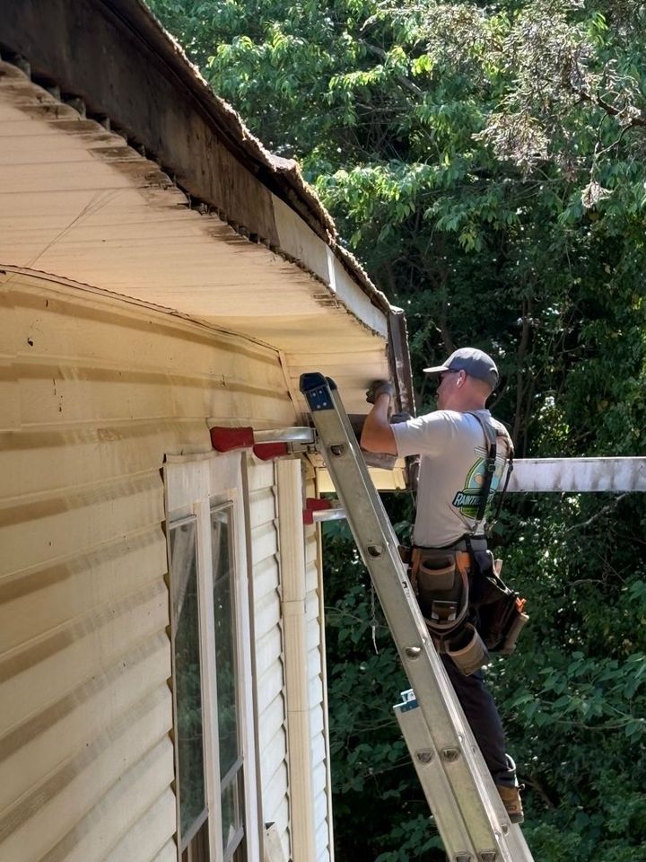Worker on ladder painting the exterior wall of a house beside trees.