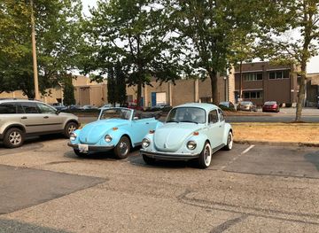 Two light blue vintage Volkswagen Beetles parked side by side in a lot under trees