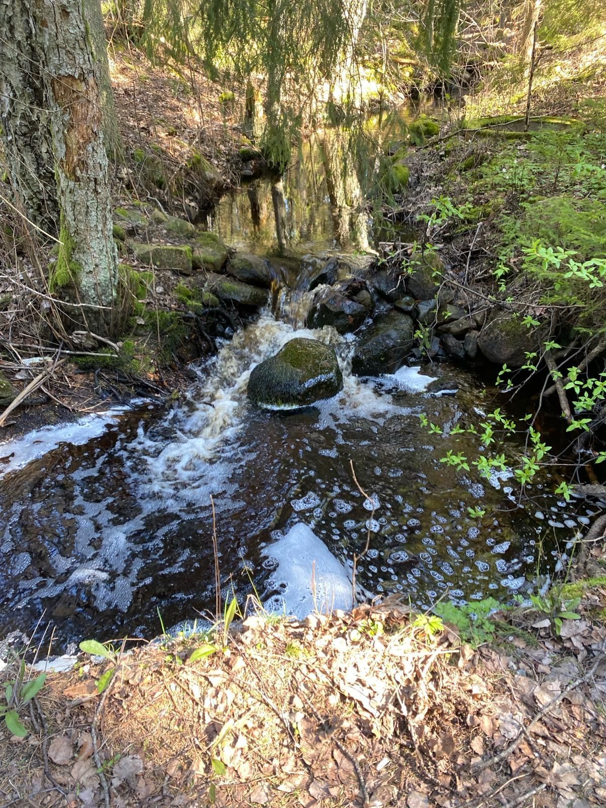 Een klein bosbeekje met rotsen en kolkend water onder bomen en groen gebladerte.