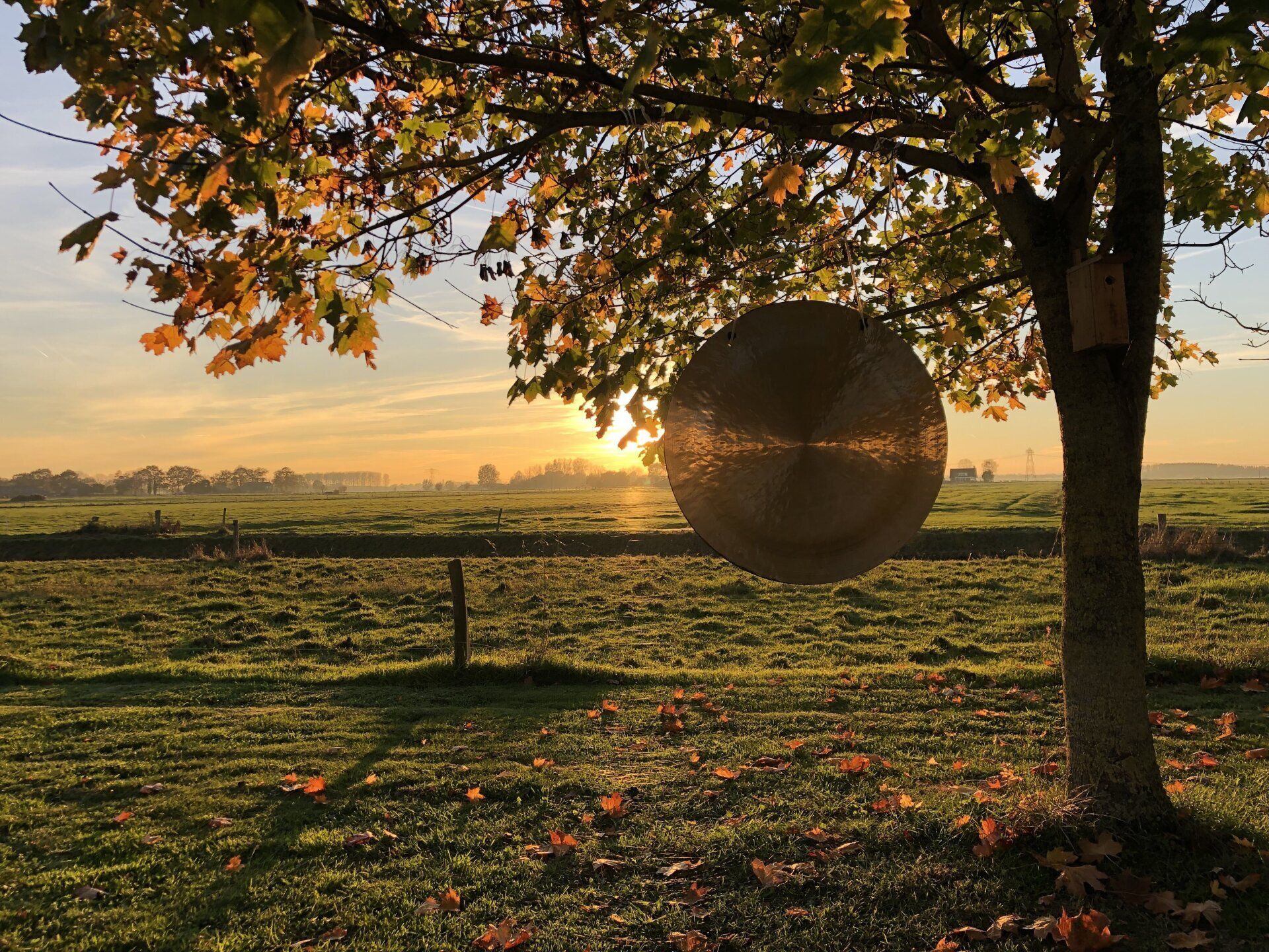 Soundhealing; diepe ontspanning en stress loslaten