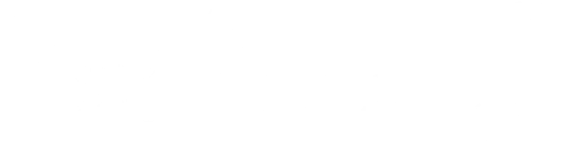 Sound Awakenings LLC Sound Awakenings LLC
