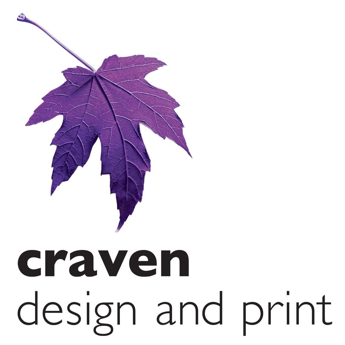 Purple maple leaf on white background. This is the craven design and print logo icon